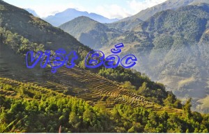 /assets/news/2019_12/viet-bac.jpg
