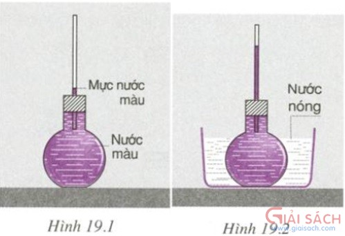 bai c1 trang 60 sgk vat ly 6