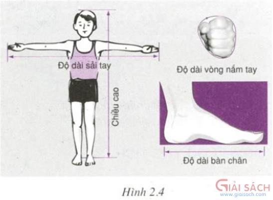 bai c10 trang 11 sgk vat ly 6